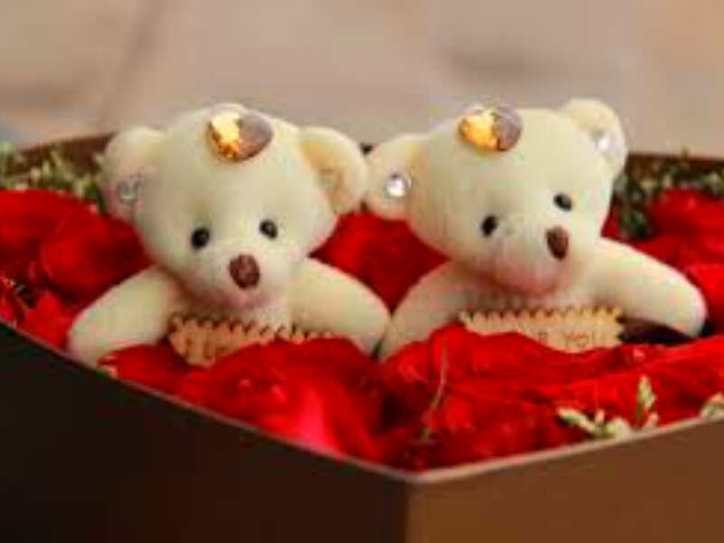 Couple teddy