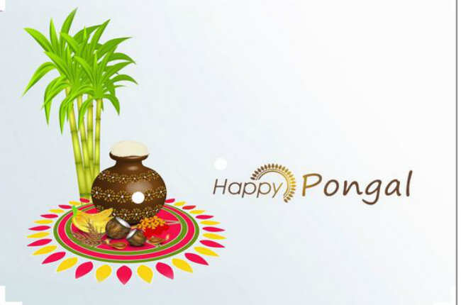 Happy Makar Sankranti 2020: Images, Wishes, Messages, Cards