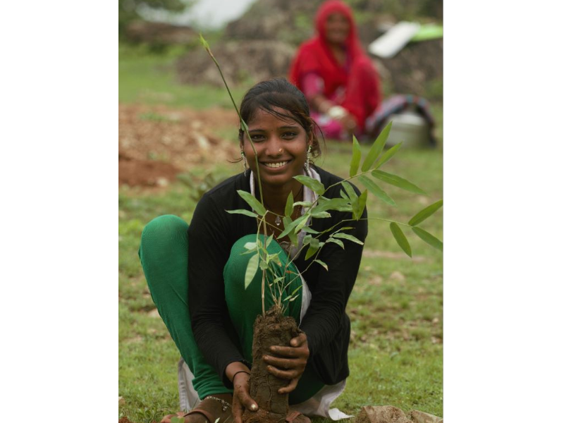 Girl_Planting_Tree