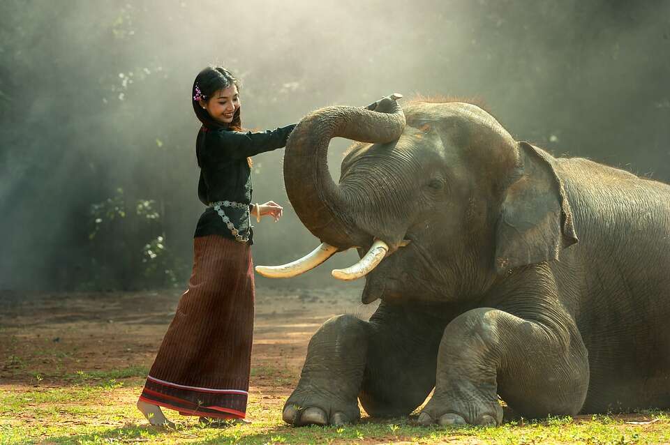 Happy Friendship Day 2021: Quotes, SMS, Pics