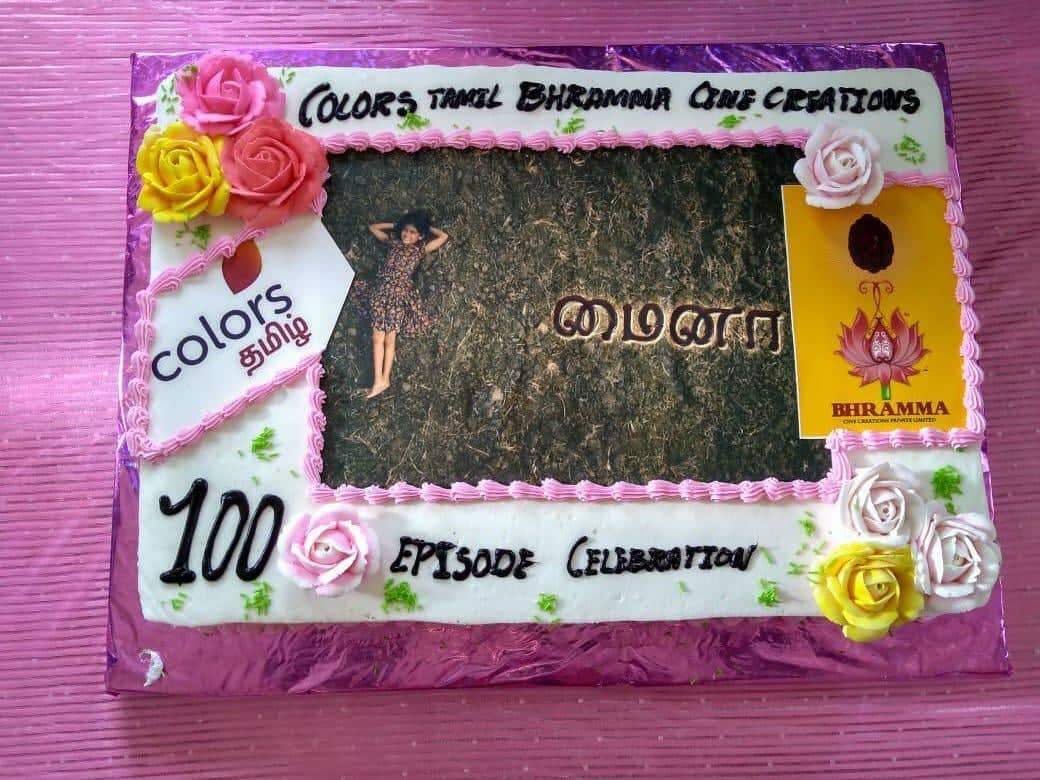 Mynaa serial 100 days celebration - 4