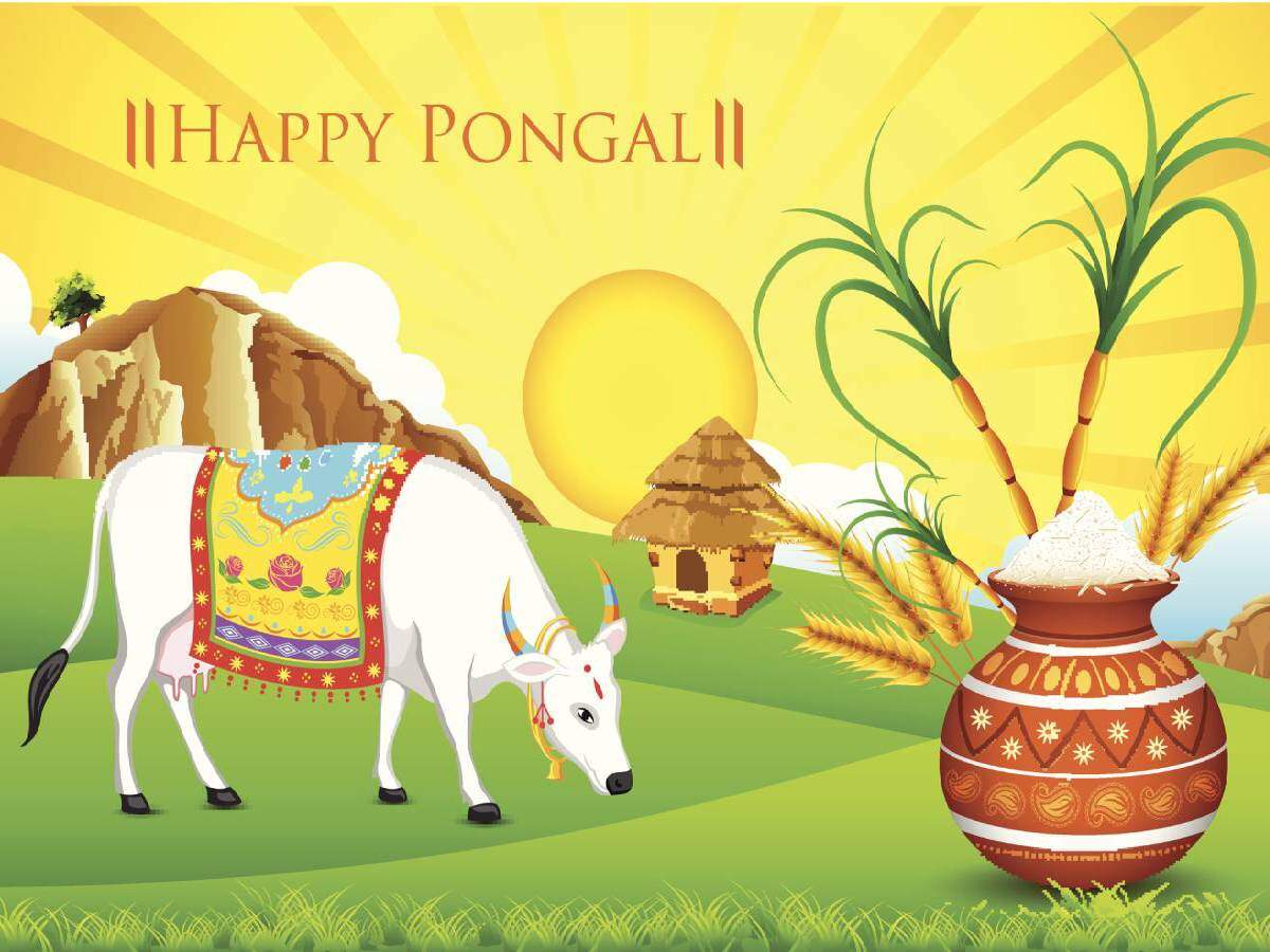 Happy Pongal 2022 Pictures