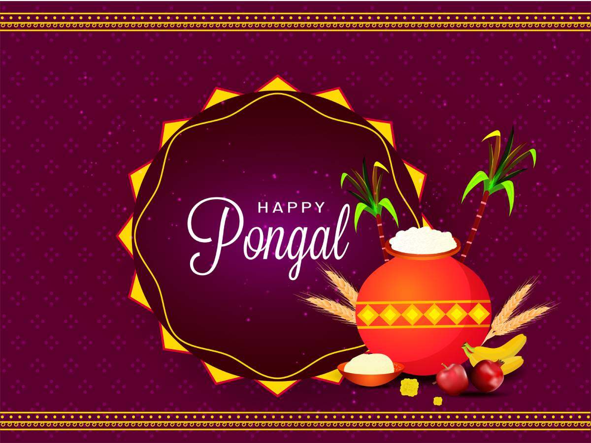 Happy Pongal 2022 GIFs