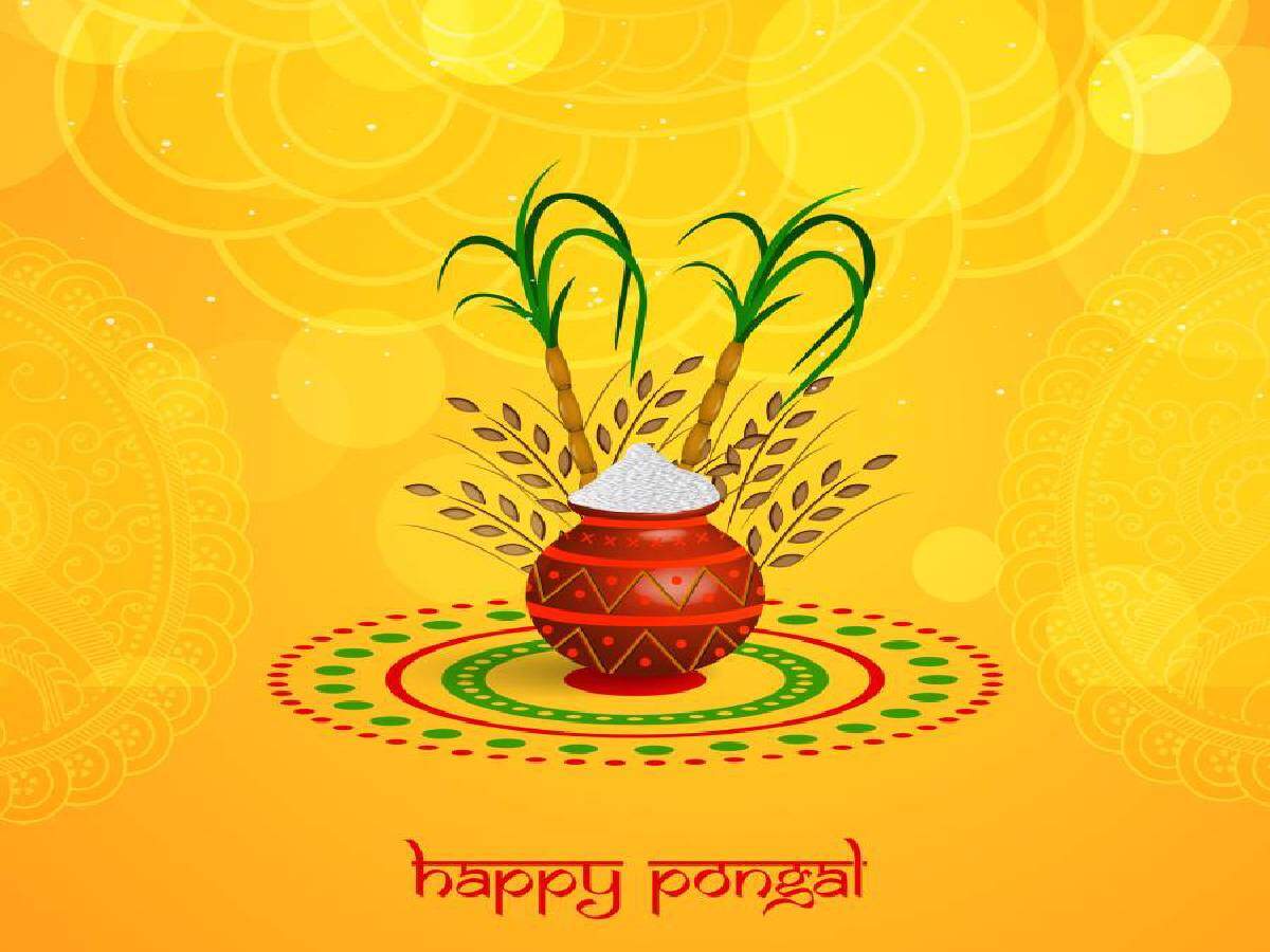 Happy Pongal Wallpapers