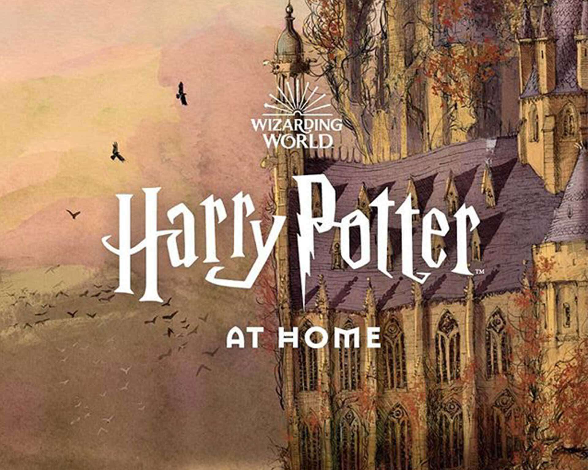 Harry Potter at Home