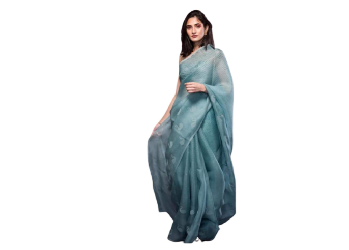 Blue organza saree