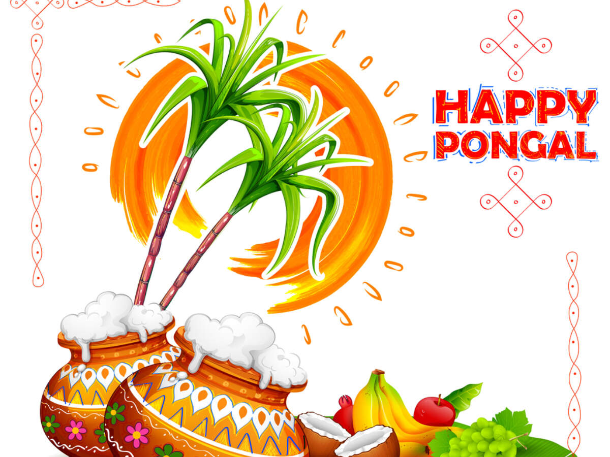 Pongal Images