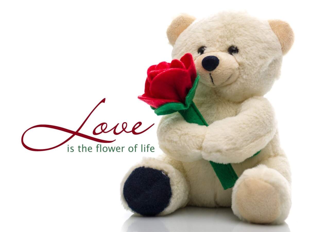 Teddy Day Story Image 1
