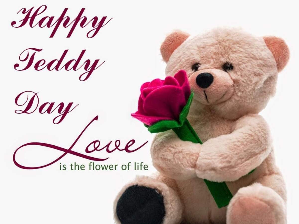 Teddy Day Story Image 2