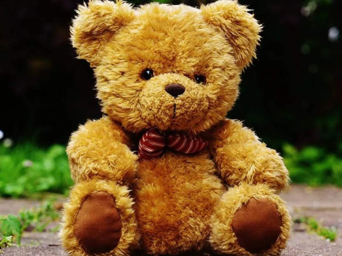 Teddy Day Story Image 5