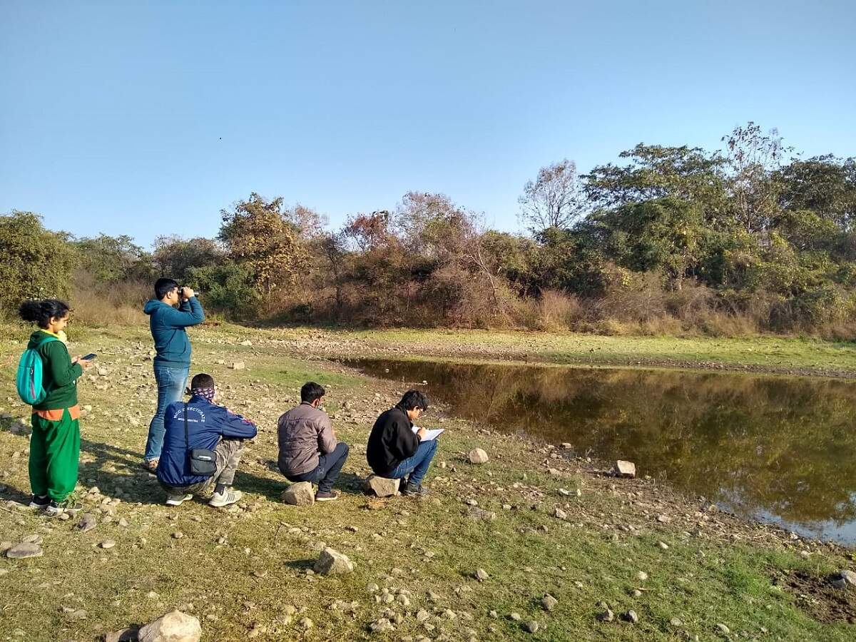 Bird Survey (1)