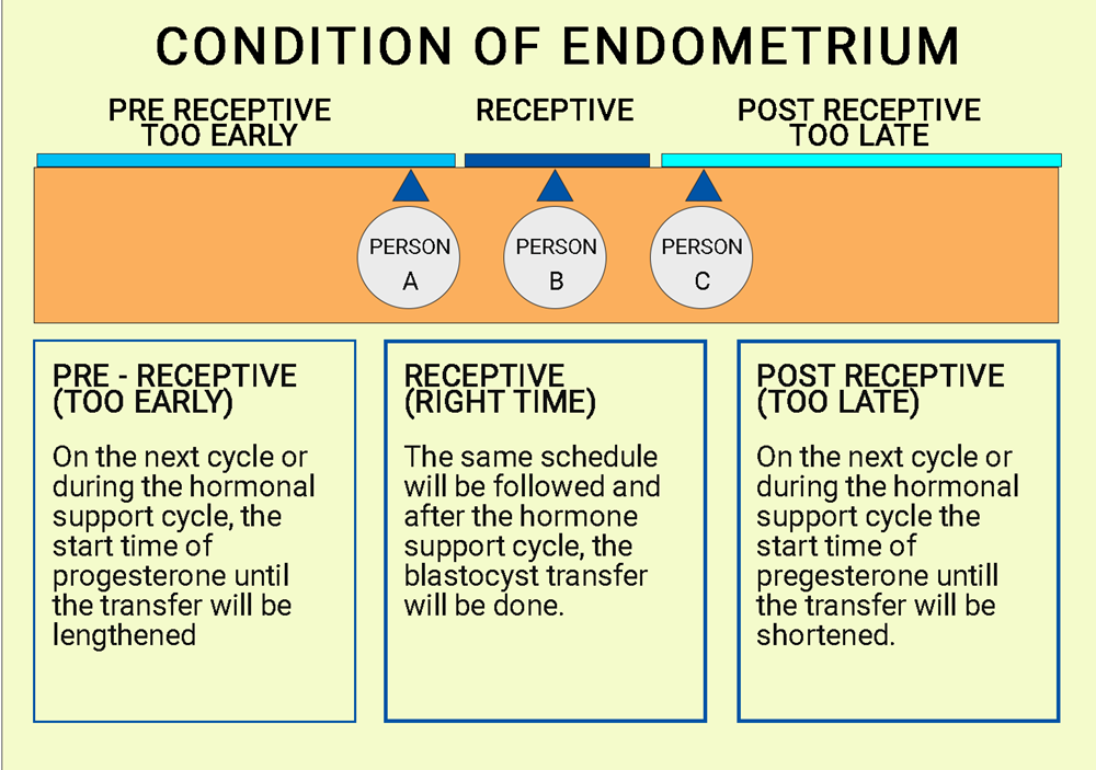 Figure 1: A typical ERA report showing the three receptivity stages of endometrium. The result will be in any one of the three stages indicated.
