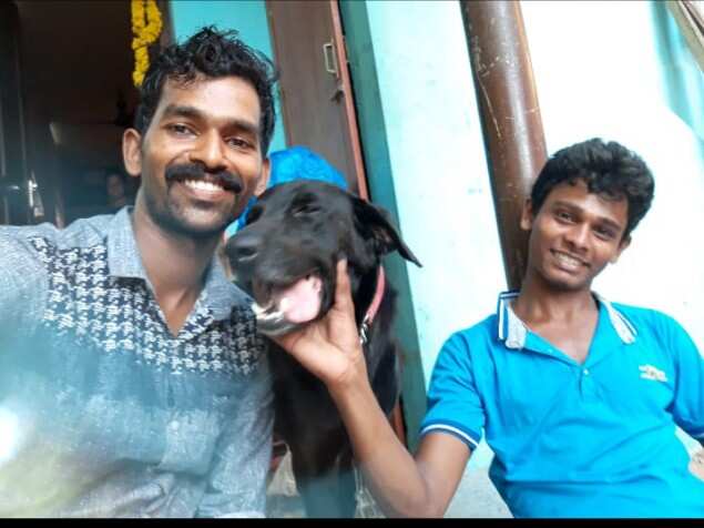 Outrage as youths beat dog to death