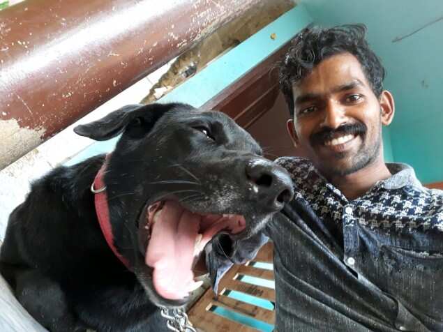Outrage as youths beat dog to death