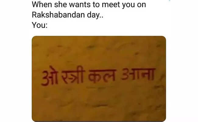 Raksha Bandhan Memes