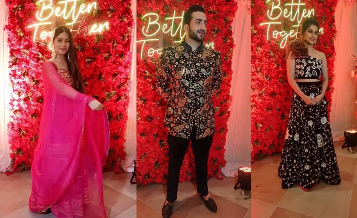 Actors Krishna Mukherjee, Aly Goni and Saba attended the wedding in Jaipur