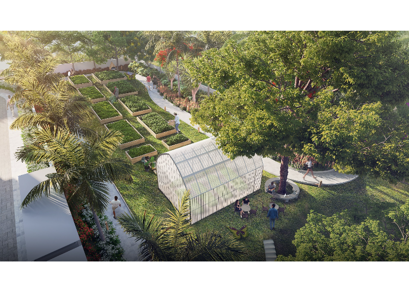 Organic-garden