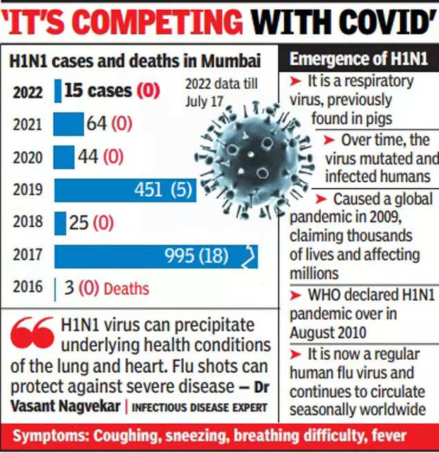 Swine Flu in Mumbai: 4 swine flu patients in Mumbai on life support ...