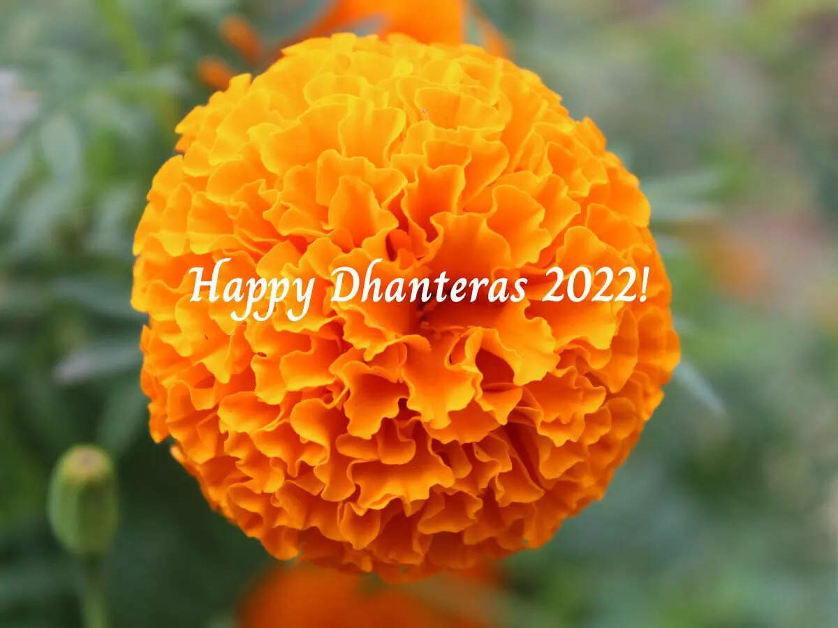 Happy Dhanteras 2022: Messages, Quotes,