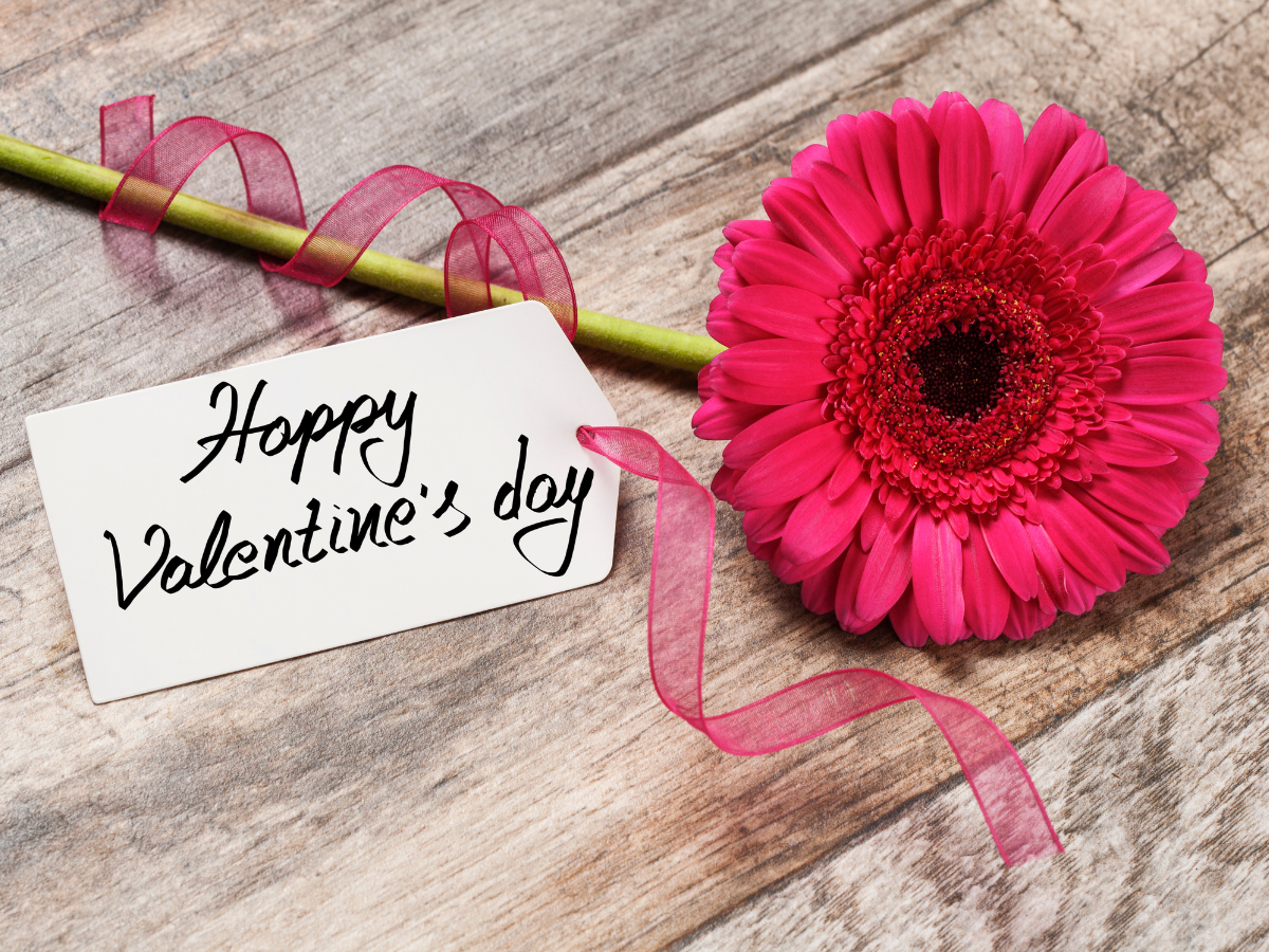 Valentine wishes and images