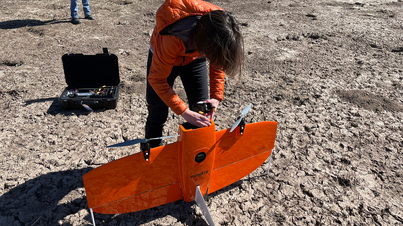 How accurate is the bird-counting model