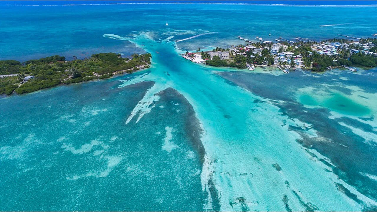 After a 2001 hurricane shattered Belize’s reef, a marine biologist fixed surviving coral pieces to homemade steel tables; 92,000 plantings lifted coral cover to about 60% | World News - The Times of India