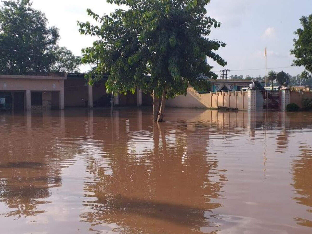 Barara block in Haryana's Ambala district: Haryana: Floods wreak havoc ...