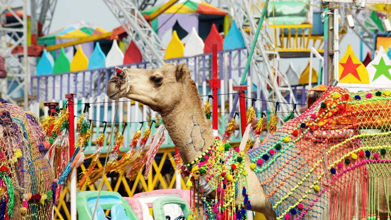 Pushkar Camel Festival