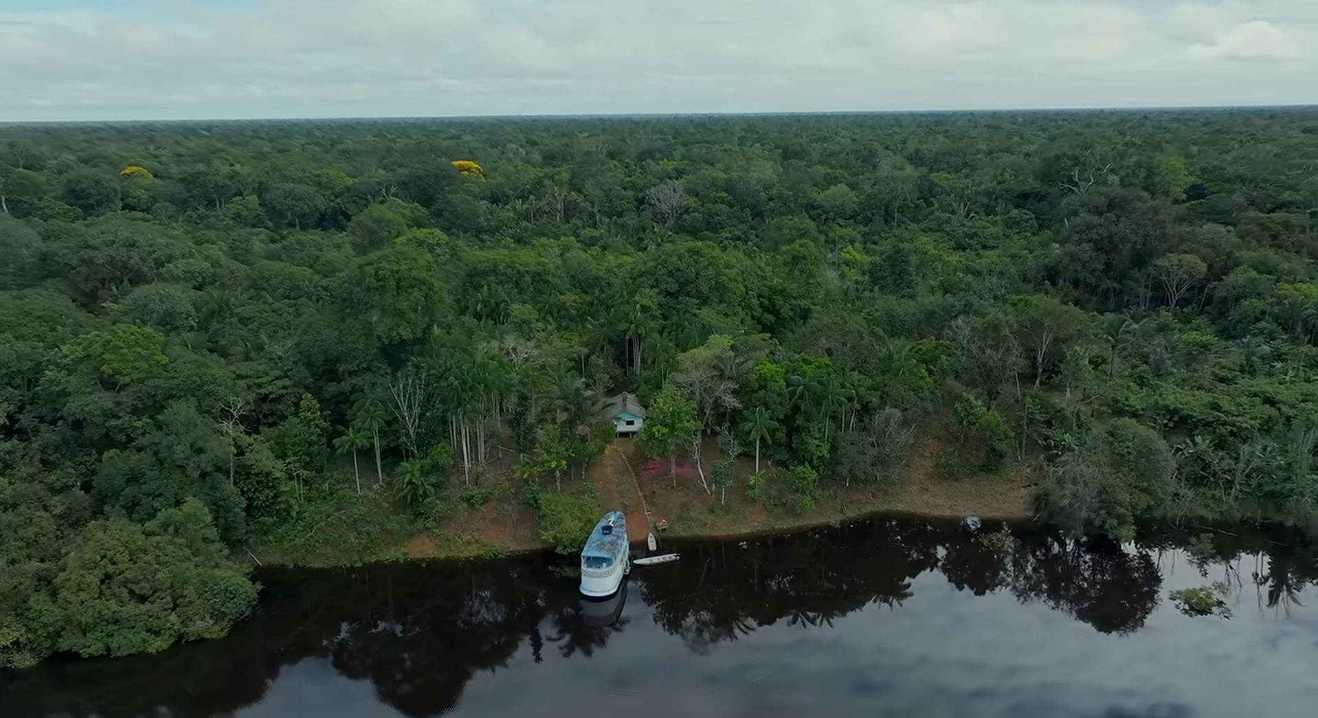 ​After 38 years in solitude, Chico's extraordinary life remains closely tied to the forest.