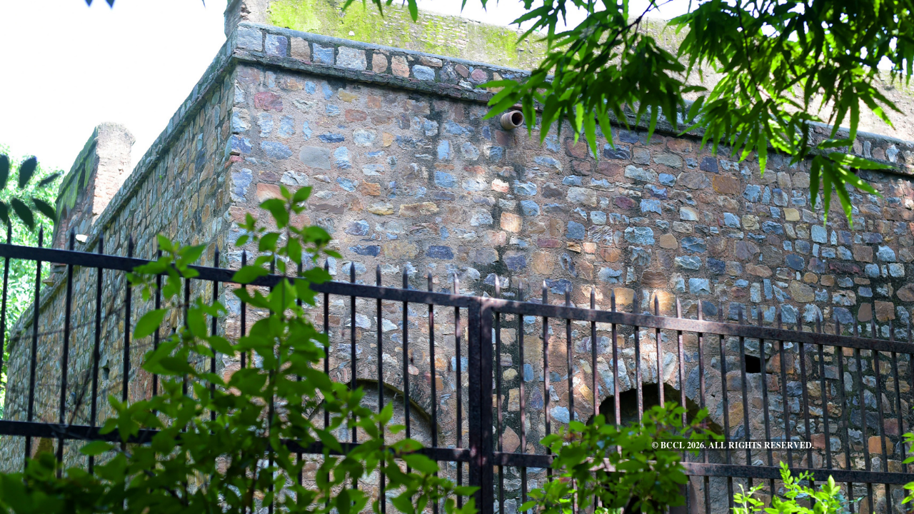 Side wall of the Chauburja Mosque