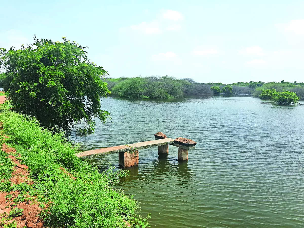 And the good.. A year on, this lake is healthy - Bangalore Mirror