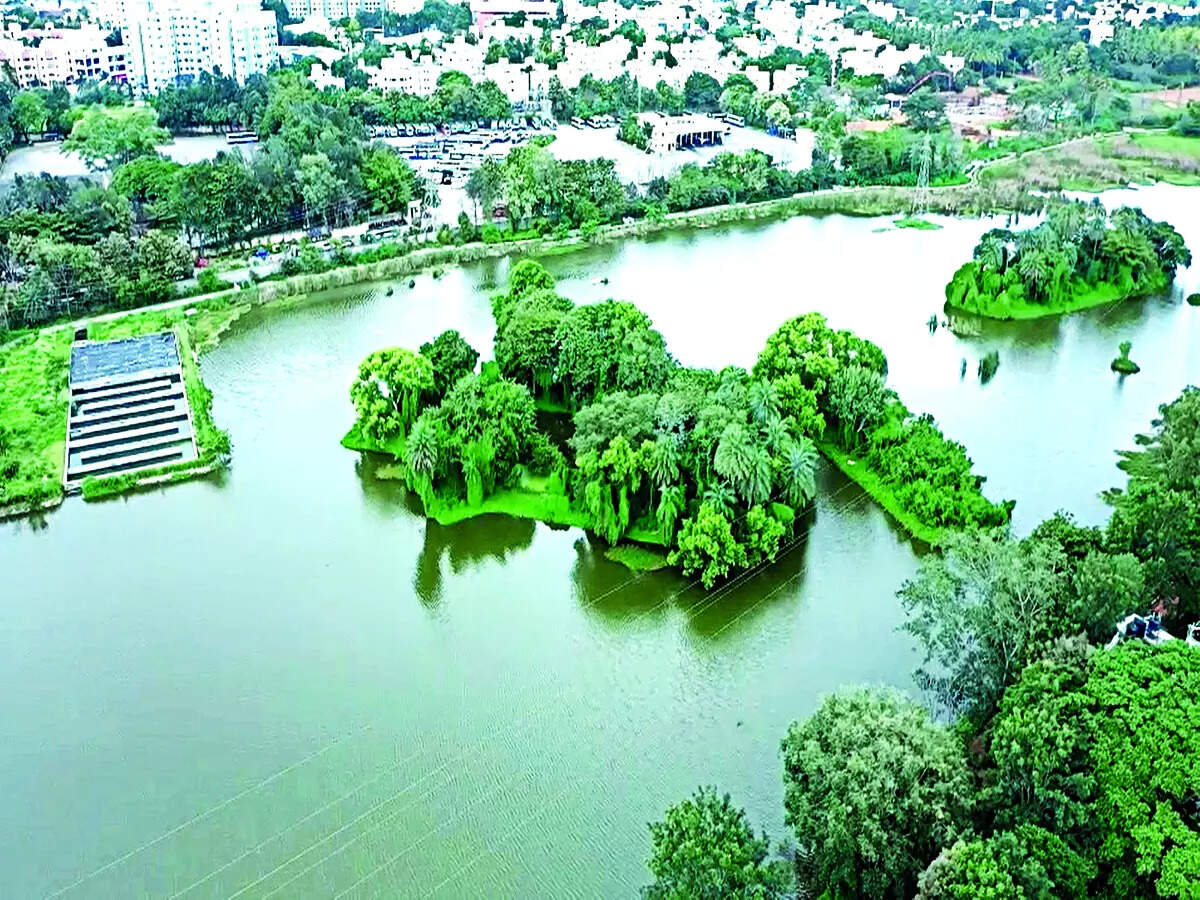 Bengaluru’s lake of learning
