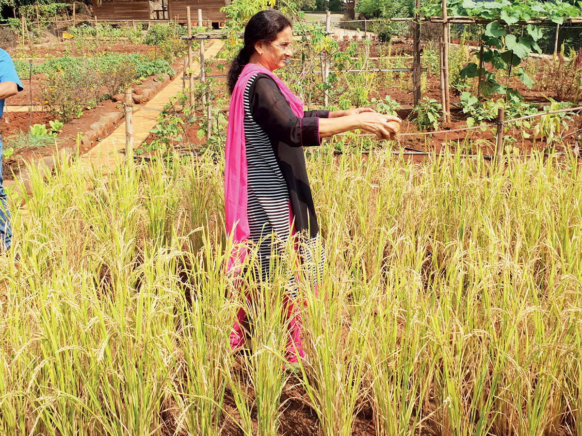 Organic Food Farm Squad