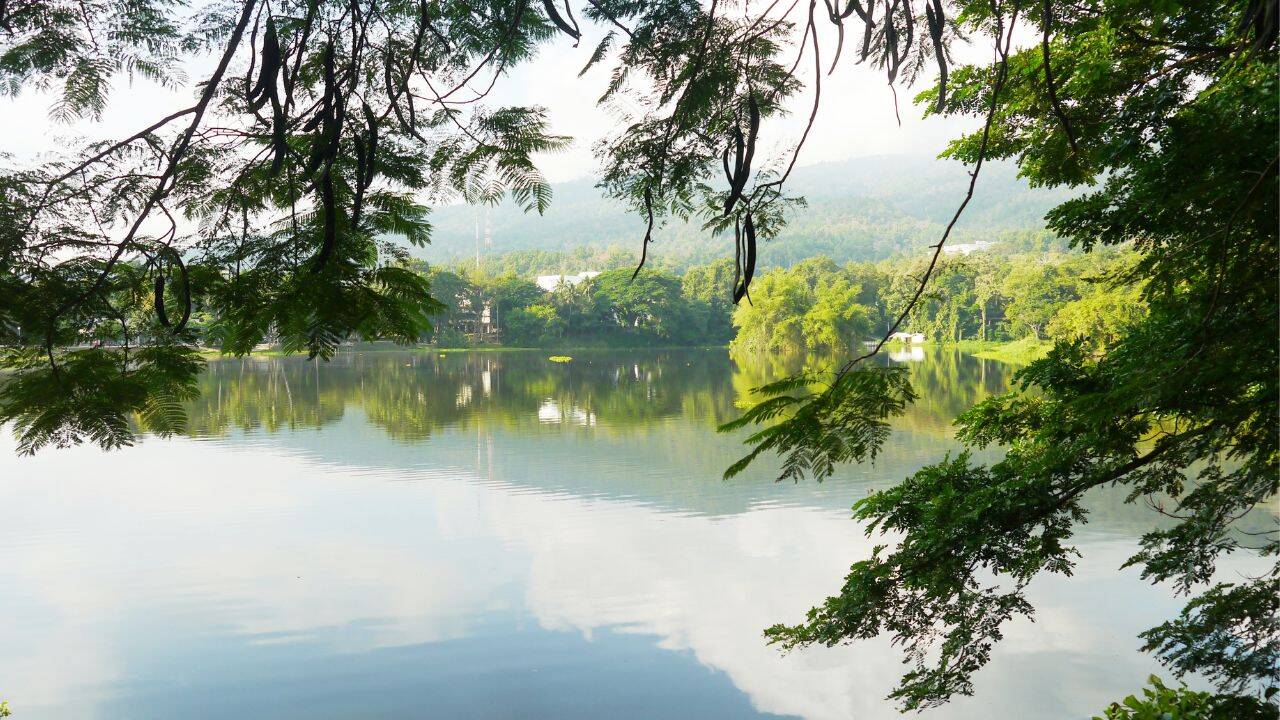 Delhi Yamuna