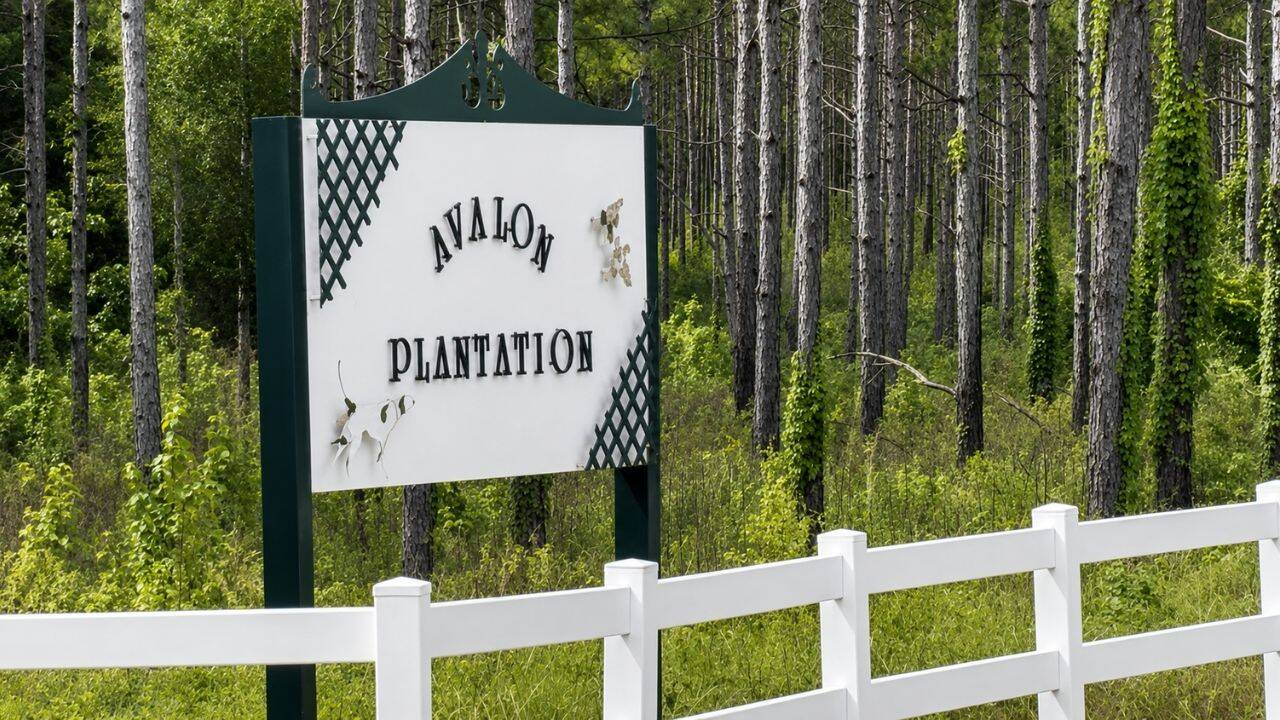 Importance of wildlife at Avalon