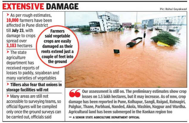 Floods cause crop losses on 1.5 lakh hectares in Maharashtra | Pune ...