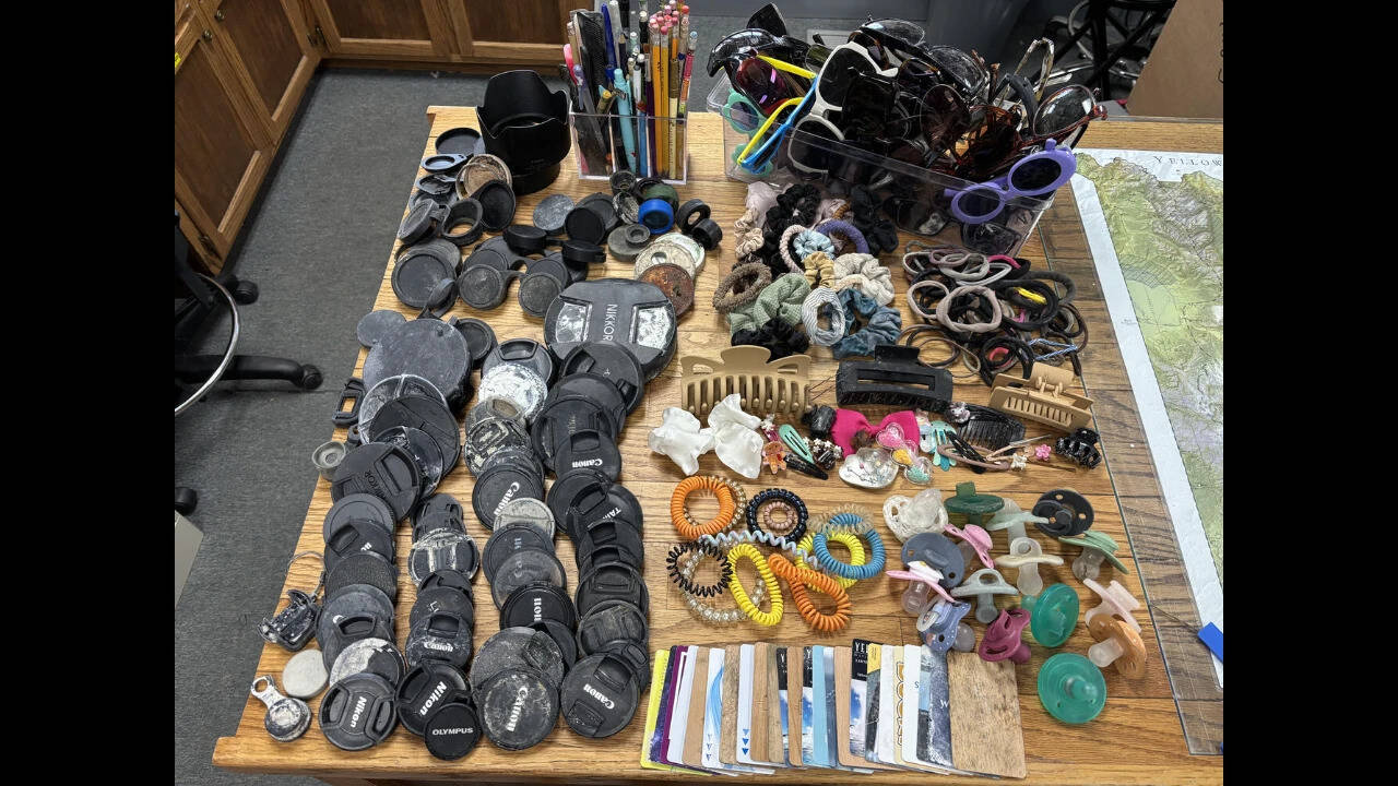 Camera covers, sunglasses, hair ties.