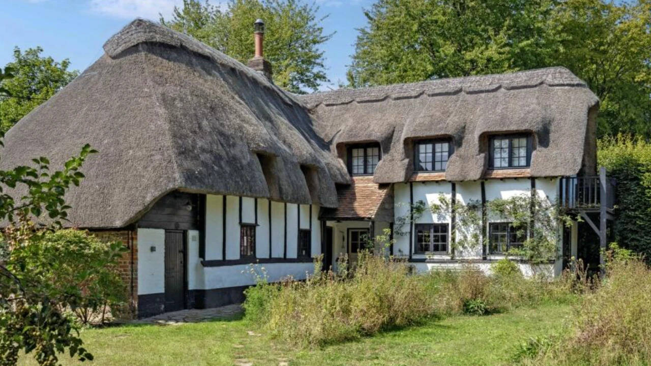 The thatched house