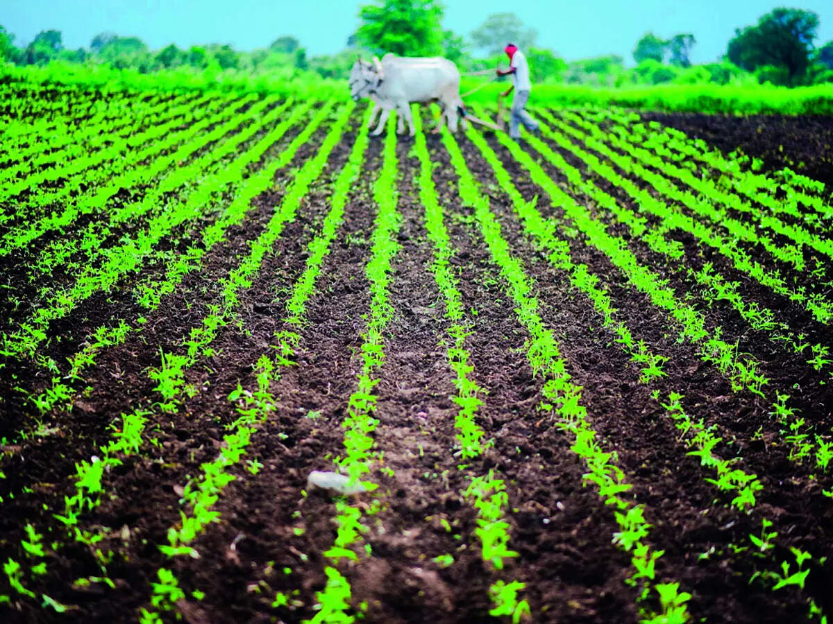 1,500 indigenous grains secured for tomorrow’s farmers