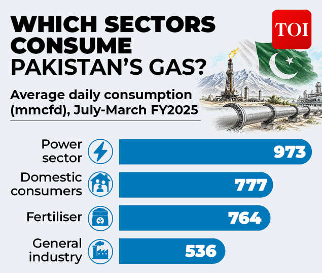 Pakistan's gas consumption