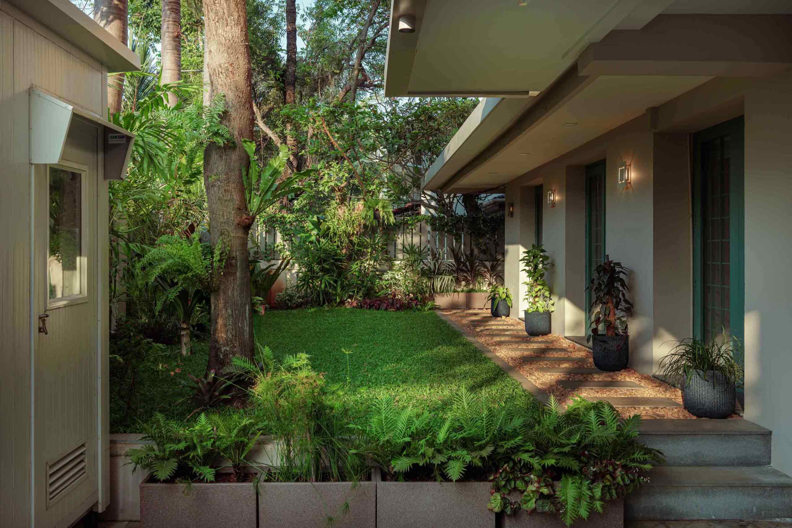 The garden