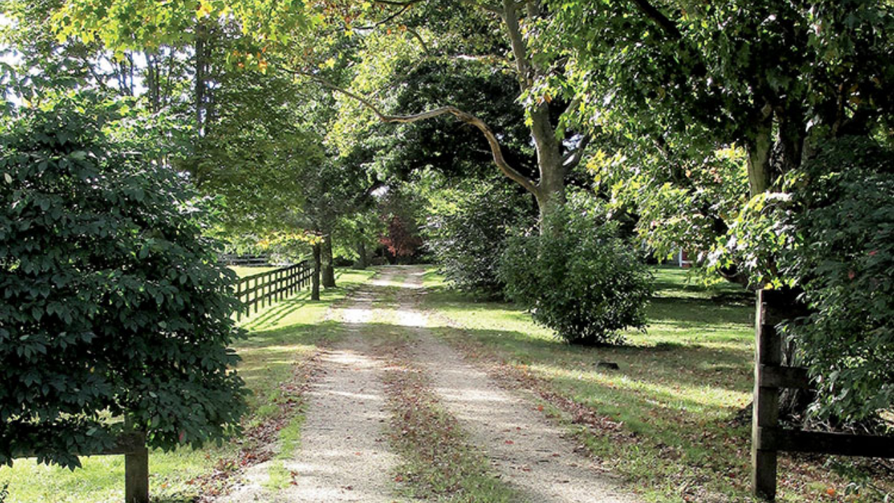 The sanctuary aspect of the property also connects closely with Tracey Stewart’s longstanding interest in animal welfare