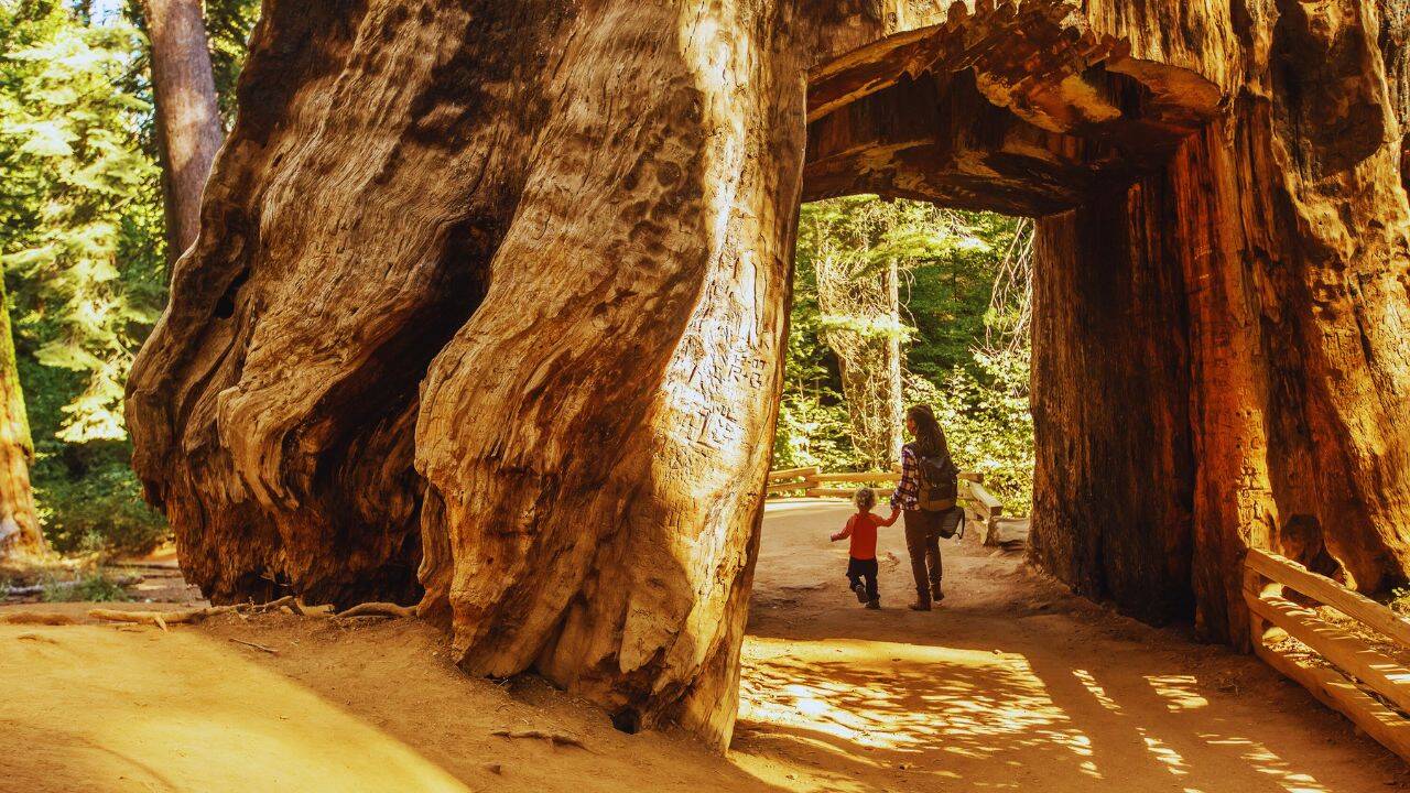 Yosemite National Park (California)