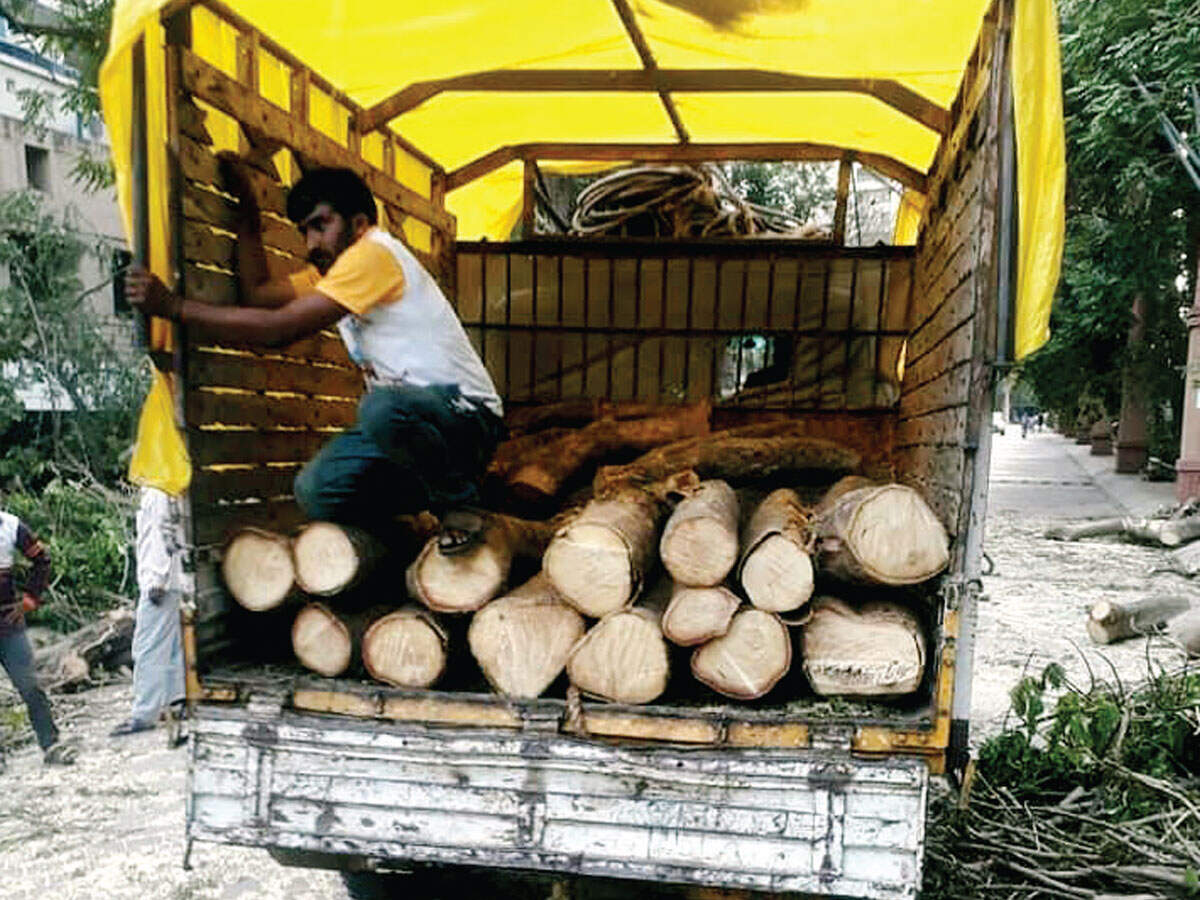 Zero FIRs against tree cutting in twin towns - Vimarsana News