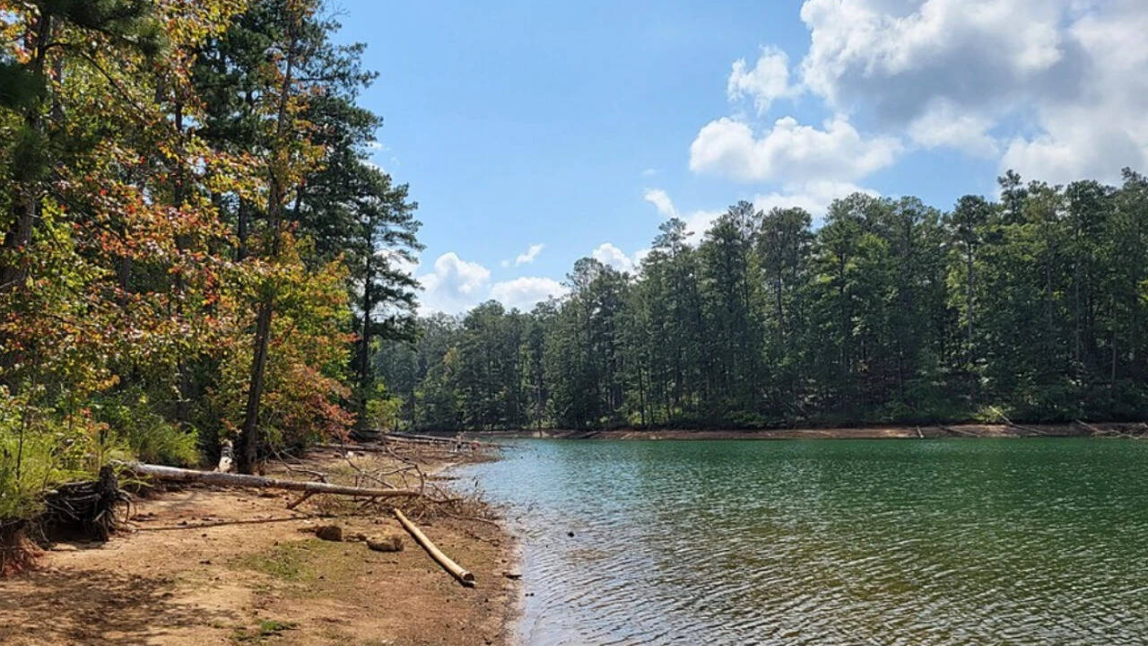 Shoreline in the Allatoona Wildlife Management Area