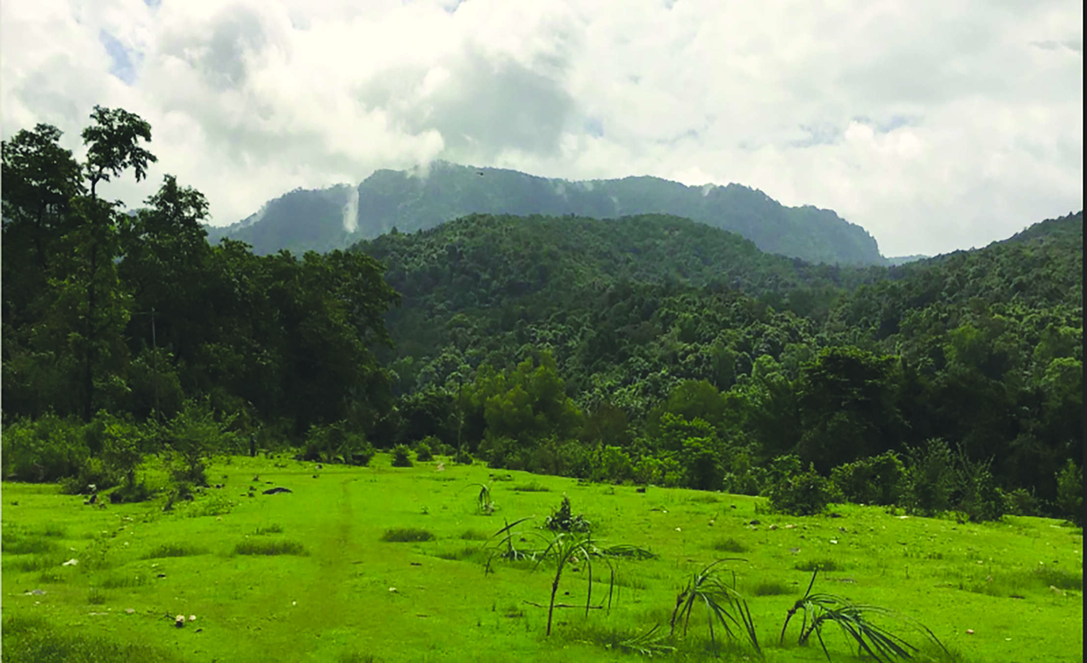 NIAS Sharavathi Report Flaws Exposed by Experts