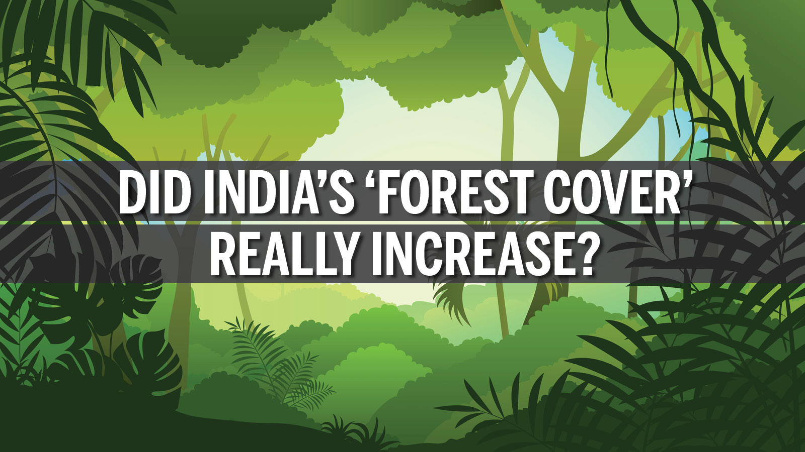 did-india-s-forest-cover-really-increase-times-of-india