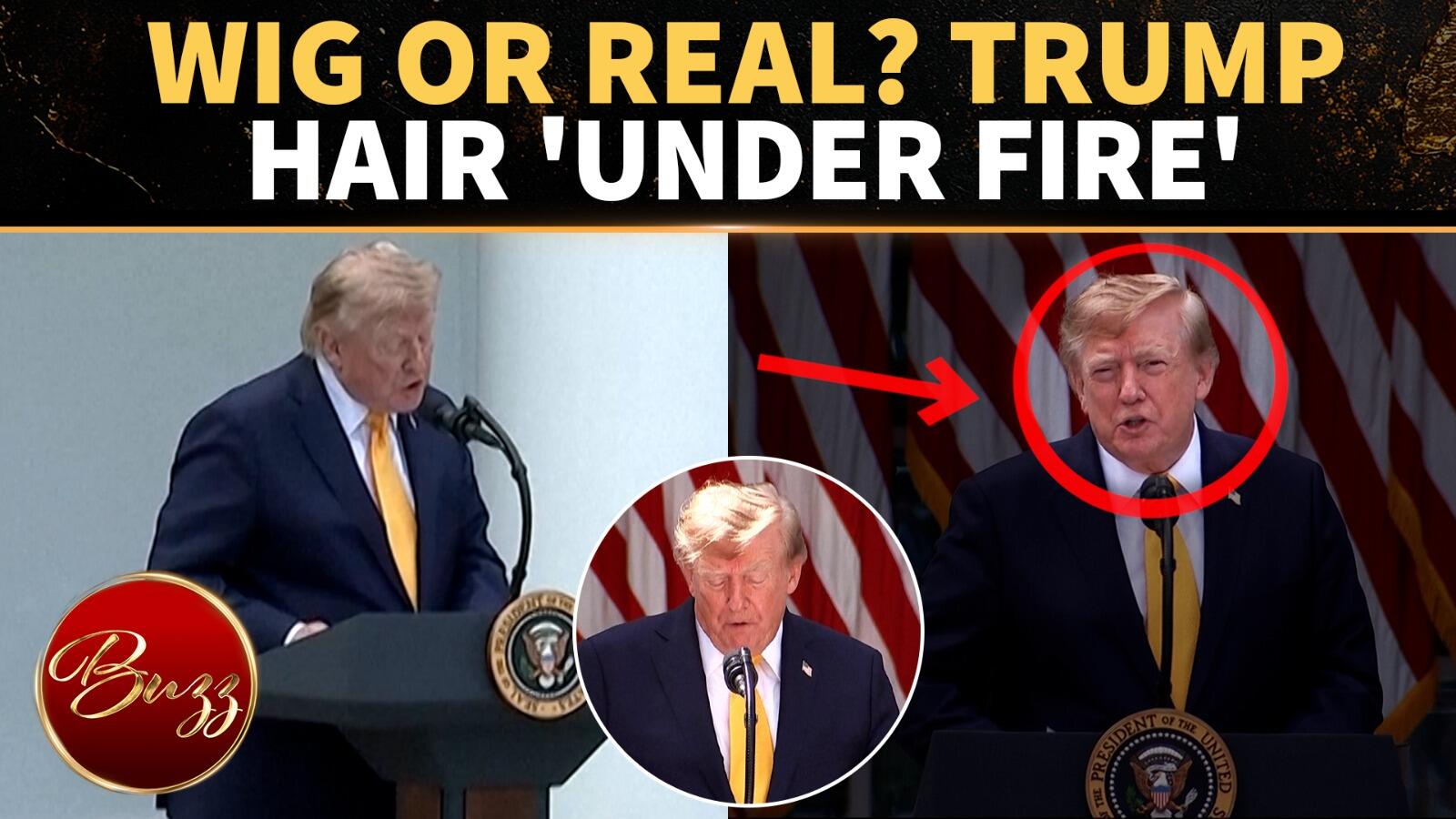 'Natalie Help Him': Trump Donning Wig? POTUS New Hairlook Sparks MEGA Internet Meltdown