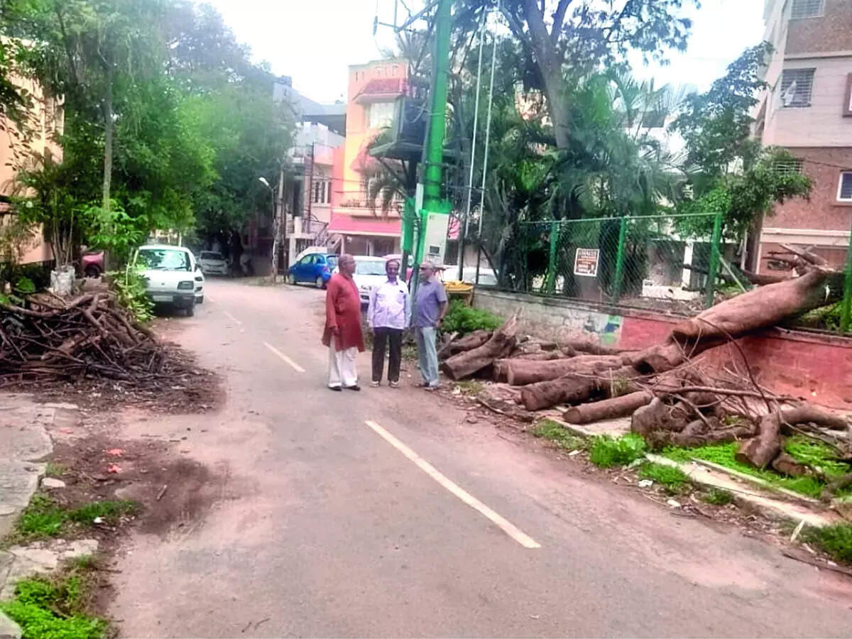 When does BBMP plan to clear this back-log at Cambridge Layout?