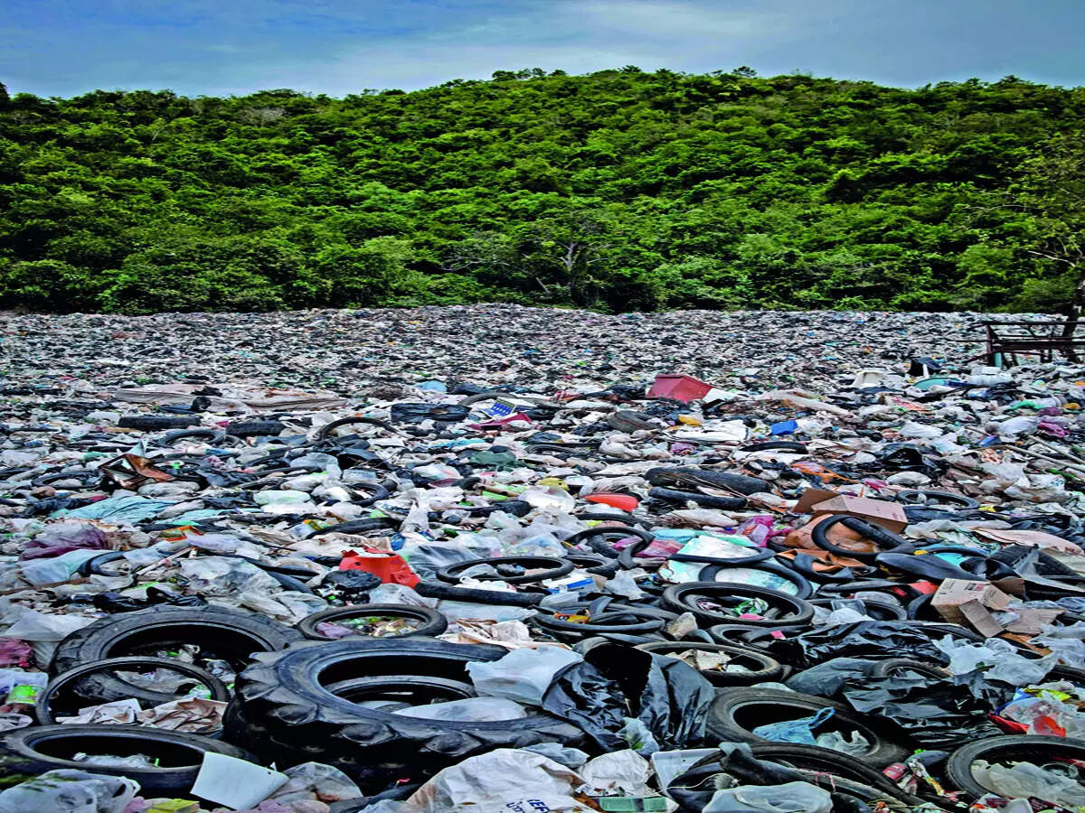BSWML to rope in more agencies to handle bulk waste
